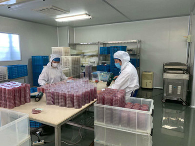 送政策、送口罩、幫復(fù)工 政府幫助虹口這家企業(yè)3天研制出病毒采樣管