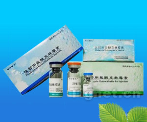 注射用鹽酸克林霉素全面解析 從功效、代理到市場(chǎng)準(zhǔn)入信息